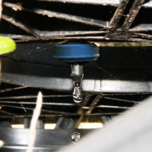 Individual Drip Irrigation