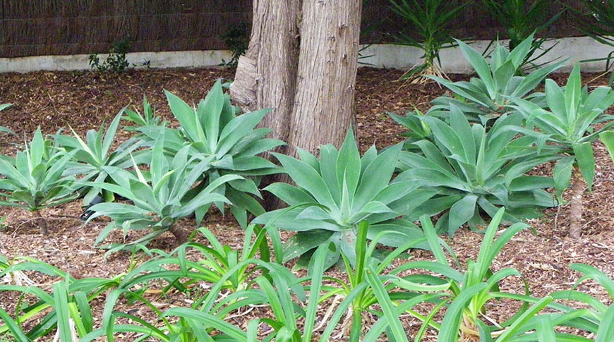 Automatic Irrigation-3