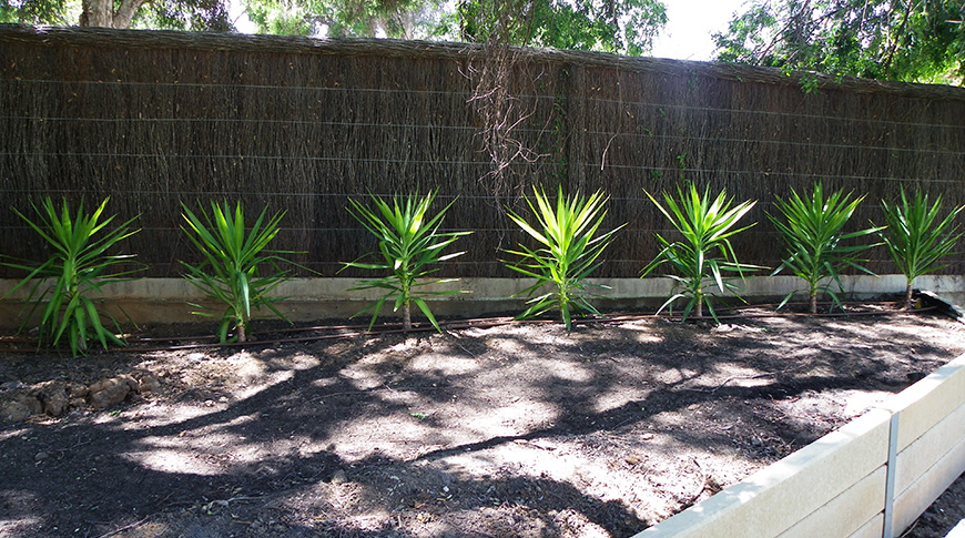 Automatic Irrigation-6
