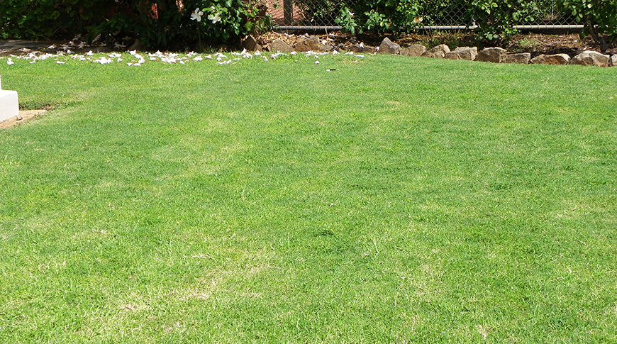 Lawn Sprinklers-1