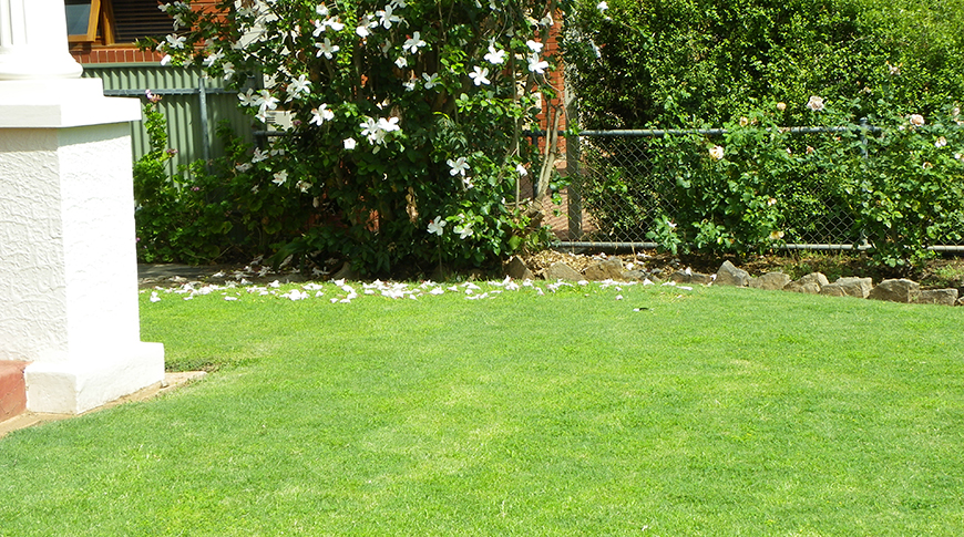 Lawn Sprinklers-3