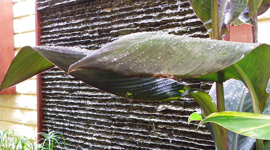 Water Wall-3